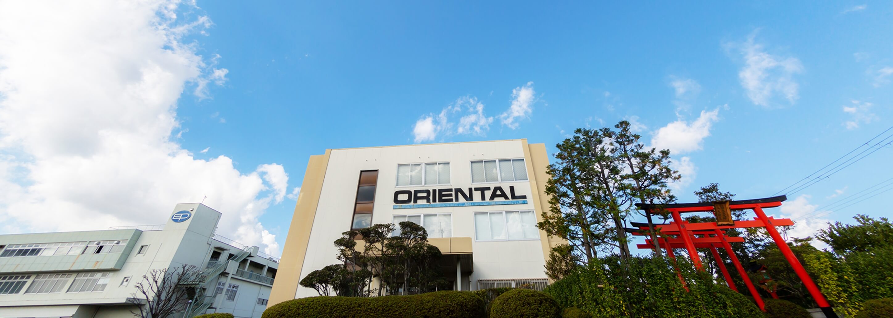 Company Outline 会社概要