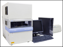 Capillary electrophoresis apparatus
