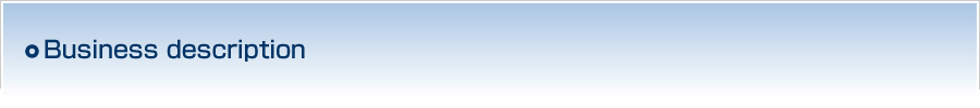 Business description